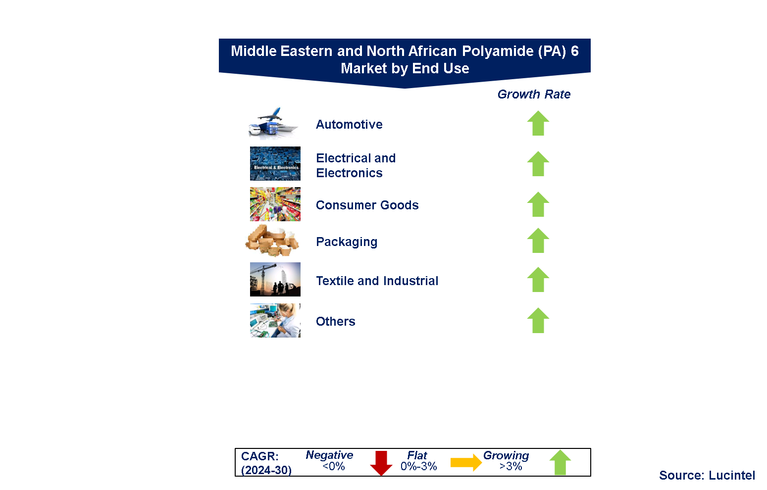 MENA Pa6 Market Segments